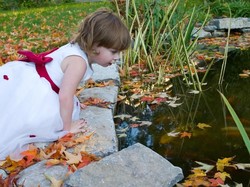 4 Tips agar Kolam di Rumah Tak Bahayakan Anak, Ortu Wajib Tahu