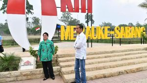 PLBN Sota di Papua Dibikin Megah Mulai Januari 2019