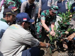 Cegah Erosi, Ribuan Pohon Ditanam di Bantaran Sungai Citarum
