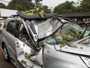 Pohon Timpa Mobil Akibat Hujan, Anak Tewas Bapak Luka