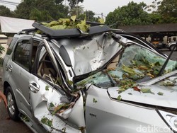 Pohon Timpa Mobil Akibat Hujan, Anak Tewas Bapak Luka