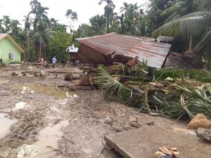 Banjir di Aceh Utara Meluas, Ratusan Tanaman Padi Mati