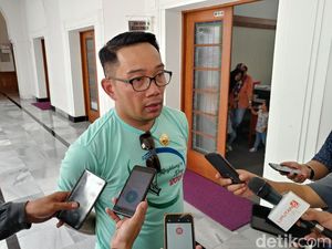 Ridwan Kamil Perintahkan Tanah Tak Berfungsi Ditanami Pohon Bambu