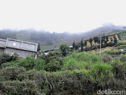 Bupati pun Hilang Jabatan di Kampung Hilang Sigandul Dieng