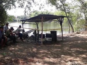Warga Percaya Kemunculan Buaya di Bengawan Solo Karena Sebab Ini Warga Percaya Kemunculan Buaya di Bengawan Solo Karena Sebab Ini