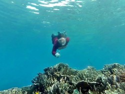 Bawah Laut Halmahera Selatan, Mantap Jiwa!