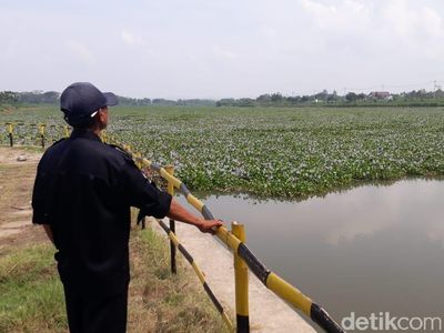 Bendungan Gerak di Bojonegoro Dipenuhi Eceng Gondok