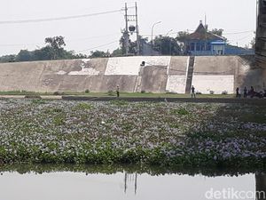 Teror Eceng Gondok di Pintu Bendungan Gerak Bojonegoro