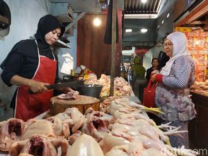 Harga Daging Ayam dan Telur di Jember Naik Jelang Maulid Nabi Harga Daging Ayam dan Telur di Jember Naik Jelang Maulid Nabi