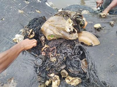 Foto: Isi Perut Bangkai Paus di Wakatobi yang Penuh Sampah