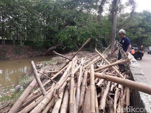 Sampah Batang Bambu Penuhi Kali Cikeas