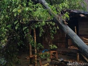 Hujan Deras Disertai Angin Kencang Landa Grobogan