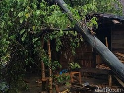Hujan Deras Disertai Angin Kencang Landa Grobogan
