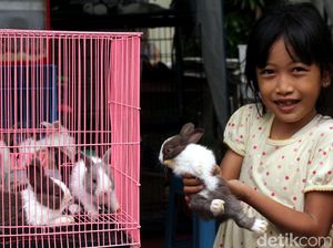 Berkunjung ke Pameran Flora-Fauna di Gor Sunter