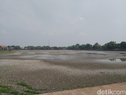 Kolam Segaran Tinggalan Majapahit Kering, Seperti Apa Penampakannya?