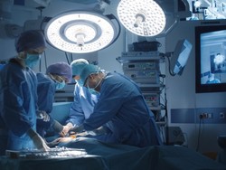 Mr P Terpotong dan Tak Mungkin Disambung Lagi, Bisakah Dicangkok?