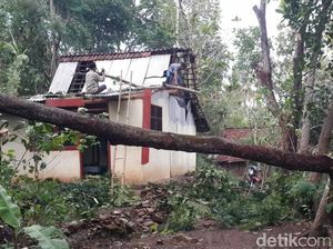 Ratusan Rumah di Situbondo Rusak Terdampak Puting Beliung Ratusan Rumah di Situbondo Rusak Terdampak Puting Beliung