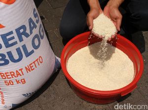 Direktur Bulog Temukan 6.800 Ton Beras di Sumsel Tak Layak Konsumsi