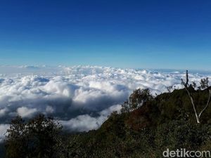 Ijen Ditutup, Sejumlah Wisatawan Mengalihkan Pendakian Di Gunung Rante