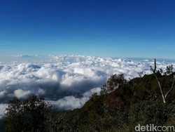Ijen Ditutup, Sejumlah Wisatawan Mengalihkan Pendakian Di Gunung Rante