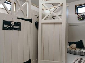 Ketika Hotel untuk Anjing Tak Kalah Bagus dengan Manusia