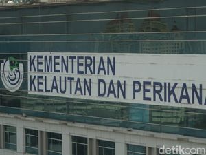 KKP Umumkan Seleksi CPNS 2018, Ini Hasil Akhirnya KKP Umumkan Seleksi CPNS 2018, Ini Hasil Akhirnya