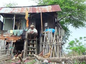 Kisah Kakek 82 Tahun di Maros Sulsel yang Tinggal di Gubuk Reyot Kisah Kakek 82 Tahun di Maros Sulsel yang Tinggal di Gubuk Reyot