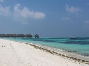 Senangnya Liburan Gratis ke Maldives Sama detikTravel