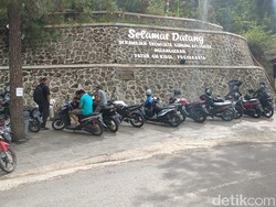 Koloni Lebah Ngamuk, Wisata Gunung Api Purba Nglanggeran Ditutup