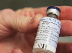 Wabah Flu Burung Berjangkit di Northern Territory