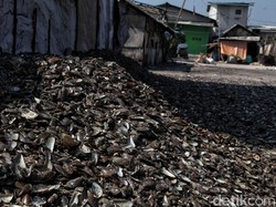 Kata Sudin LH Jakut soal Sampah Kulit Kerang di Muara Angke