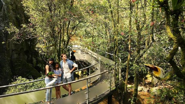 Taman Safari Cisarua