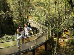 Taman Safari Bogor Sudah Buka, Ini Harga Tiket dan Protokolnya