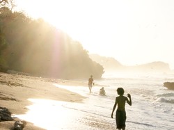 Sinar Kehidupan Pantai
