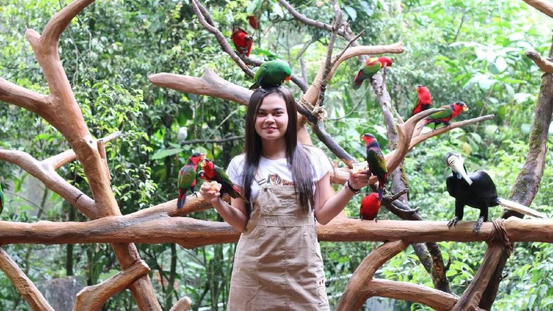 Foto: Dok Taman Safari Indonesia Foto: Dok Taman Safari Indonesia