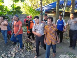 Warga Tulungagung yang 3 Hari Nangkring di Atas Pohon Akhirnya Turun Warga Tulungagung yang 3 Hari Nangkring di Atas Pohon Akhirnya Turun