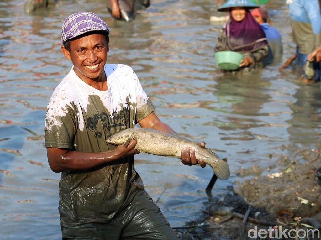 Serunya Warga Lamongan Berebut Tangkap Ikan di Peringatan Maulid Nabi Serunya Warga Lamongan Berebut Tangkap Ikan di Peringatan Maulid Nabi