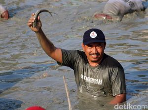 Serunya Berebut Ikan di Telaga Mungli Lamongan
