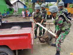 Warga Skouw Mabo Papua Temukan Bom Sepanjang 1,25 M Sisa Perang