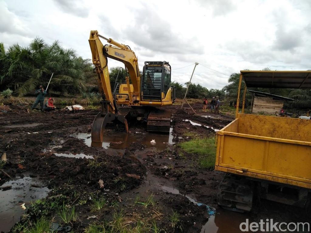 2 Alat Berat untuk Buka Lahan Sawit Ilegal di Riau Disita 2 Alat Berat untuk Buka Lahan Sawit Ilegal di Riau Disita