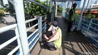 Melihat Proses Perbaikan JPO Tendean