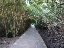 Luhut Bilang Reklamasi Benoa Jalan Terus, Kok Susi Bilang Setop?