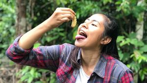 Serunya Efinda Putri Host Jejak Petualang yang Doyan Makan Ulat Pohon