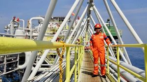 Pakai Helm dan Kacamata Hitam, Jonan Cek Blok Migas di Indramayu