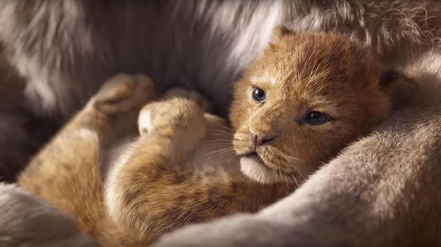 'The Lion King' diangkat dari versi animasi bertajuk senada yang rilis pada 1994.