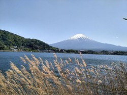 Gunung Fuji, Primadona Jepang yang Punya Pemandangan Ciamik