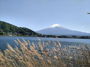 Gunung Fuji, Primadona Jepang yang Punya Pemandangan Ciamik Gunung Fuji, Primadona Jepang yang Punya Pemandangan Ciamik