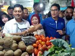 Janji Sandi Buka Peluang Usaha untuk Generasi Milenial di Bidang Ini