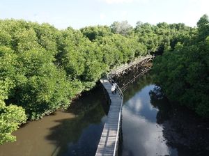 Pemilu dan Politik Hijau