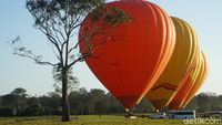 Foto Naik Balon Udara di Australia, Pengalaman Tak Terlupa